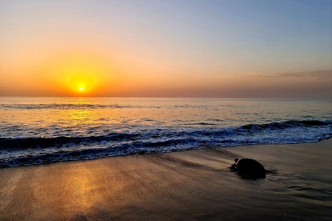 2-day Private Tour to Ras Al Hadd - Overnight in Ras Al Hadd