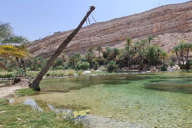 2-Day Private Wahiba Sands Desert Camping Tour from Muscat - Wadi Tiwi adds a greener pause