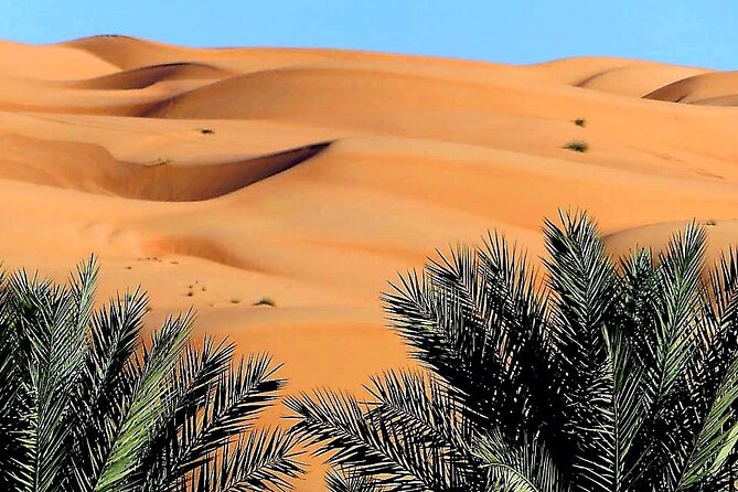 2-Day Private Wahiba Sands Desert Camping Tour from Muscat - Entering Wahiba Sands for the overnight camp