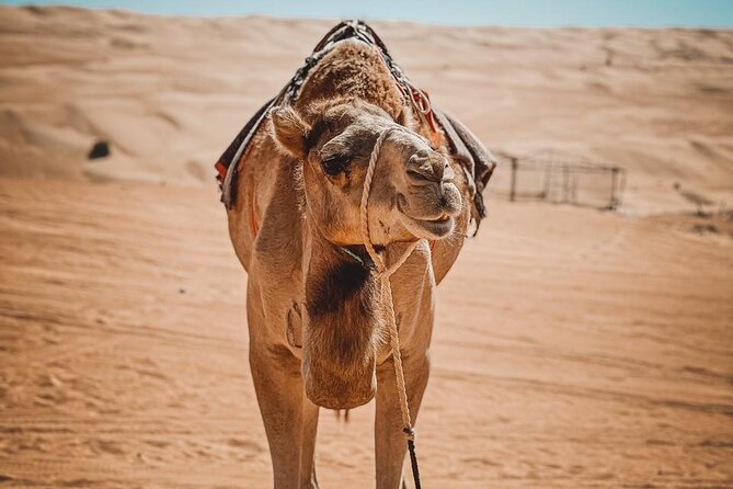 2-Day Private Wahiba Sands Desert Camping Tour from Muscat - A Bedouin house offers a cultural window