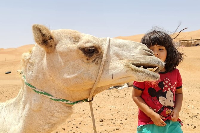 2-Day Private Wahiba Sands Desert Camping Tour from Muscat - What the private 4WD arrangement changes