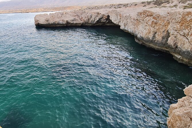 2-Days 1 Night Private Ras Al Hadd Tour - The turtle walk at Ras Al Jinz