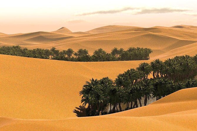 2 Days and 1 Night Private Wahiba Sands Desert Tour - Why a private guide changes the experience