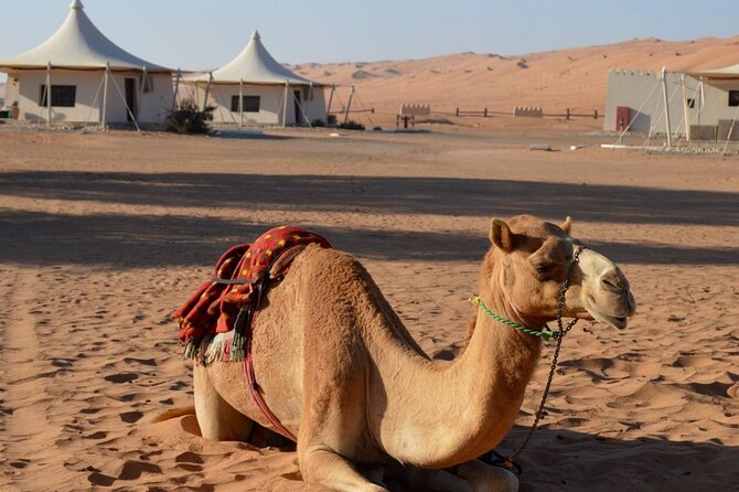 2 Days Desert Adventure Package - Nizwa Fort and the old souq