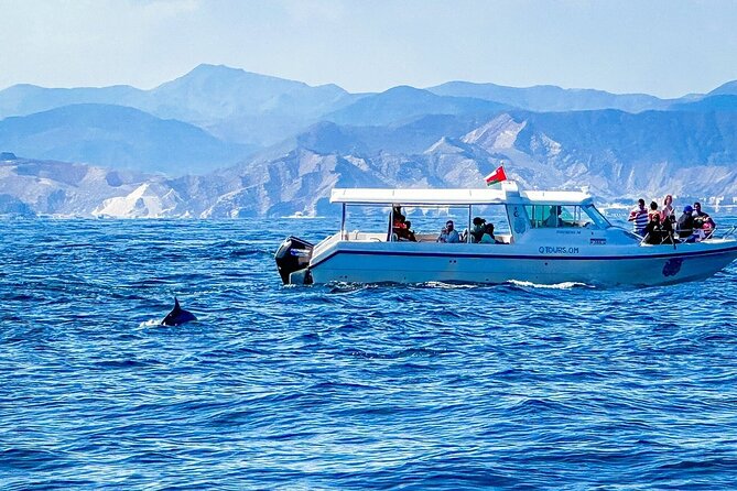 2 Hour Dolphin Watching Experience in Muscat - A family-friendly trip with a small group limit