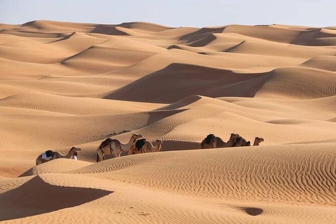 3-Days Private Tour in Oman with Pick Up - Birkat Al Mouz and Oman’s aflaj systems