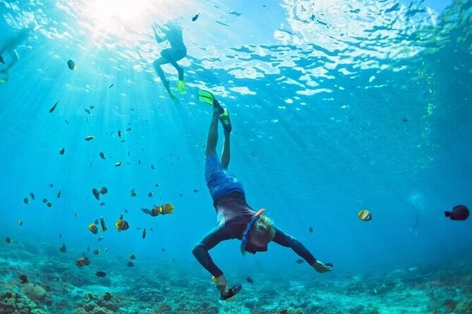 3 Hour Snorkeling and Dolphin Watching Experience in Muscat - Looking for dolphins in open water