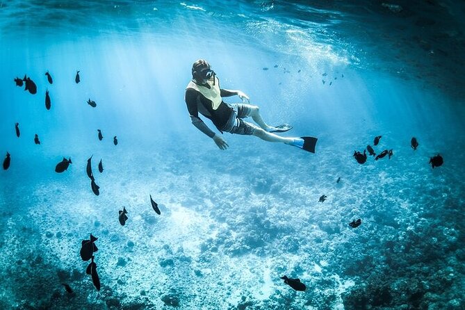 3 Hour Snorkeling and Dolphin Watching Experience in Muscat - Who will enjoy this Muscat outing most