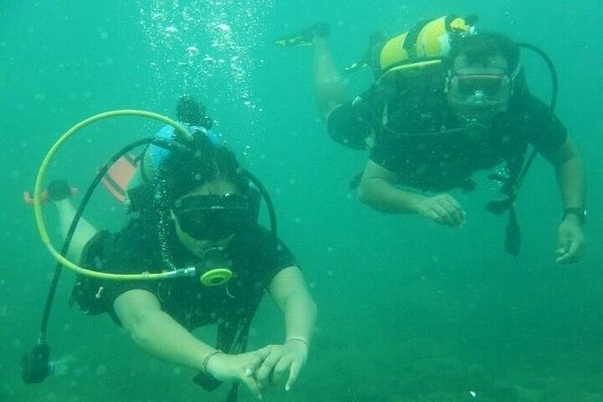 3 Hour Snorkeling and Dolphin Watching Experience in Muscat - Leaving at 10:00 am from Muscat
