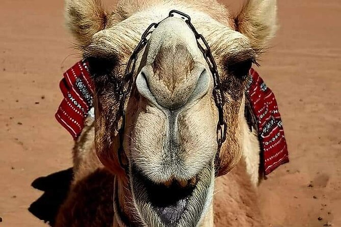 4 Days 3 Nights Package Oman Private Tour - Four days from Muscat to Oman’s mountains