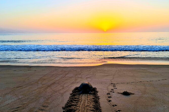 5 Days 4 Nights Oman Package Tour Mohammed - Who will enjoy this Oman tour most
