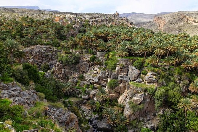 5 Days Package TOUR DINA - Day 5: The mountain road through Wadi Bani Awf