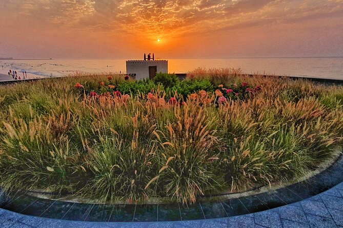 5 Hours Private Tour in Muscat City - Qurum Park as a possible extra