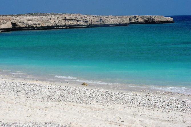 6-Day Latifa Package Tour - Day 1: Bimmah Sinkhole, Wadi Shab, and Ras Al Jinz