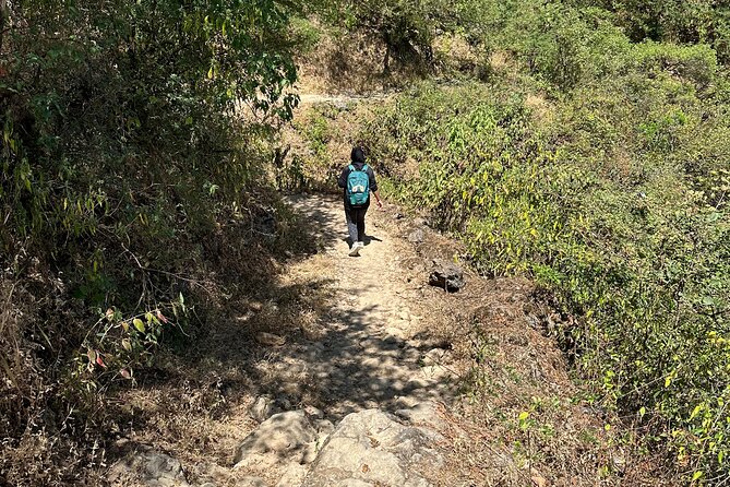 6 Hours Private Hiking in Salalah Mountains - What the wider route may reveal