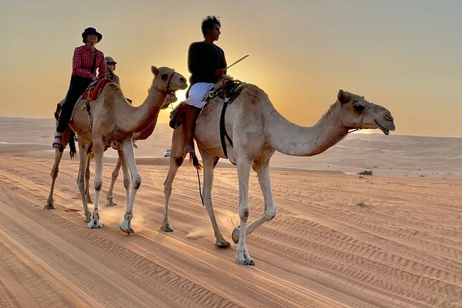 7-8 Hours Private Desert Adventure Trip with Activities - From Muscat to the Wahiba Sands