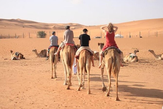 7-8 Hours Private Desert Adventure Trip with Activities - Sandboarding for a simple, low-tech thrill