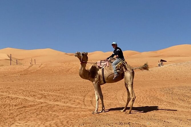 7-8 Hours Private Desert Adventure Trip with Activities - Camel riding and the older rhythm of the desert