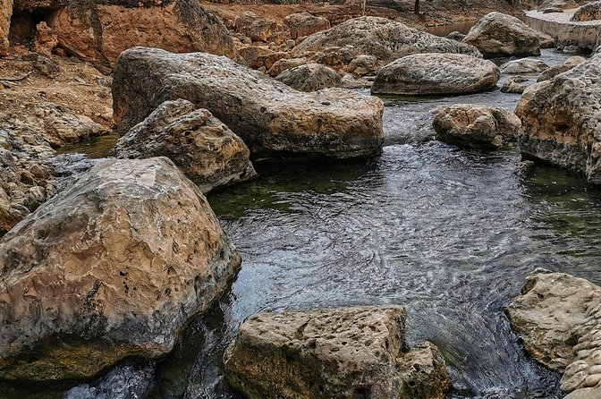 8 Hours of West Salalah Best | Private Tour - Frankincense trees in their natural setting