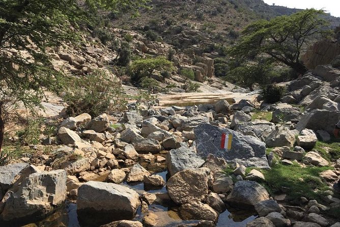 A Mirage In The Mountain - What the guide adds to the walk