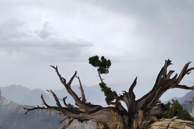 AL HAMRA & JEBEL SHAMS - Muscat, Oman - Misfat Al Abriyeen, Oman’s mountain garden