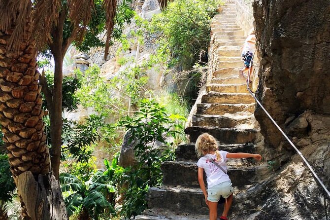 AL HAMRA & JEBEL SHAMS - Muscat, Oman - Booking, cancellation, and small details