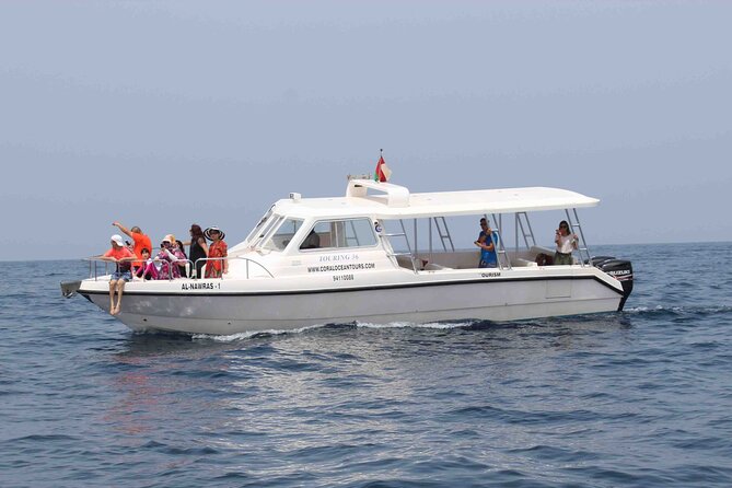 Amazing Dolphin Watching Tour In Muscat - Practical tips for a smoother morning