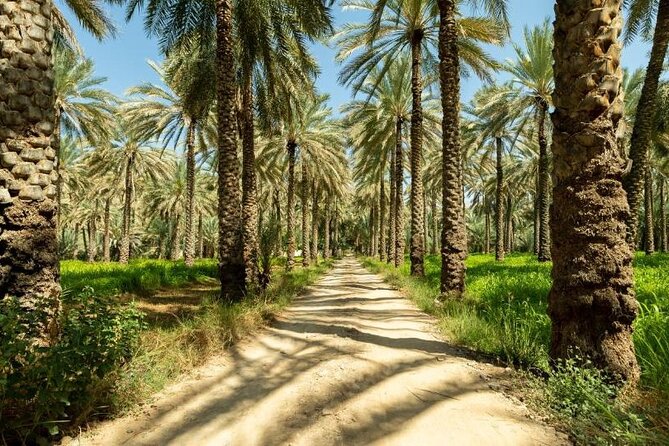 Amouage & Nizwa Full-Day Tour: Fort, Souq & Barakat Al Mouz - Is $165 good value?