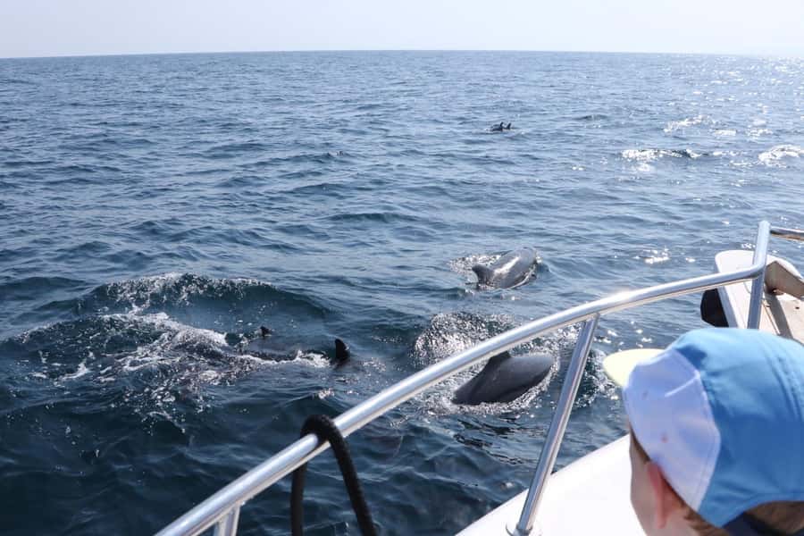 Bandar Al Khayran Jorney: Group Tour with Snorkeling - The ride toward Bandar Al Khayran