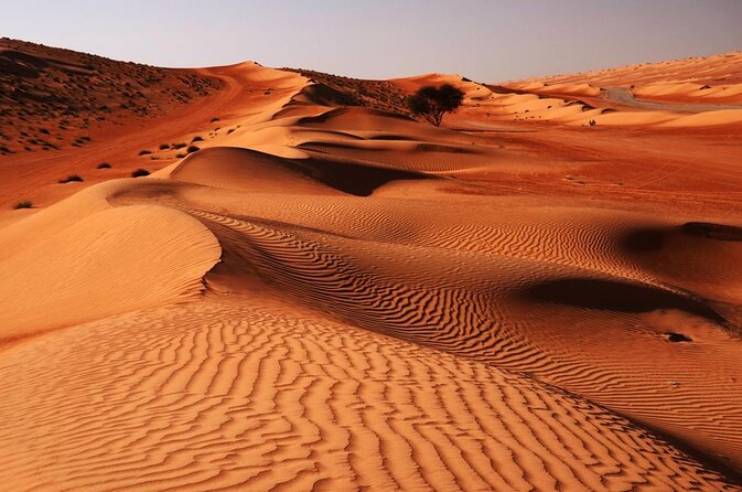 Bediyah: Camel Safari through the Wahiba Sands Desert - Key points to know before you book