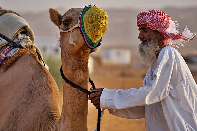 Bediyah: Camel Safari through the Wahiba Sands Desert - What makes this private outing worthwhile