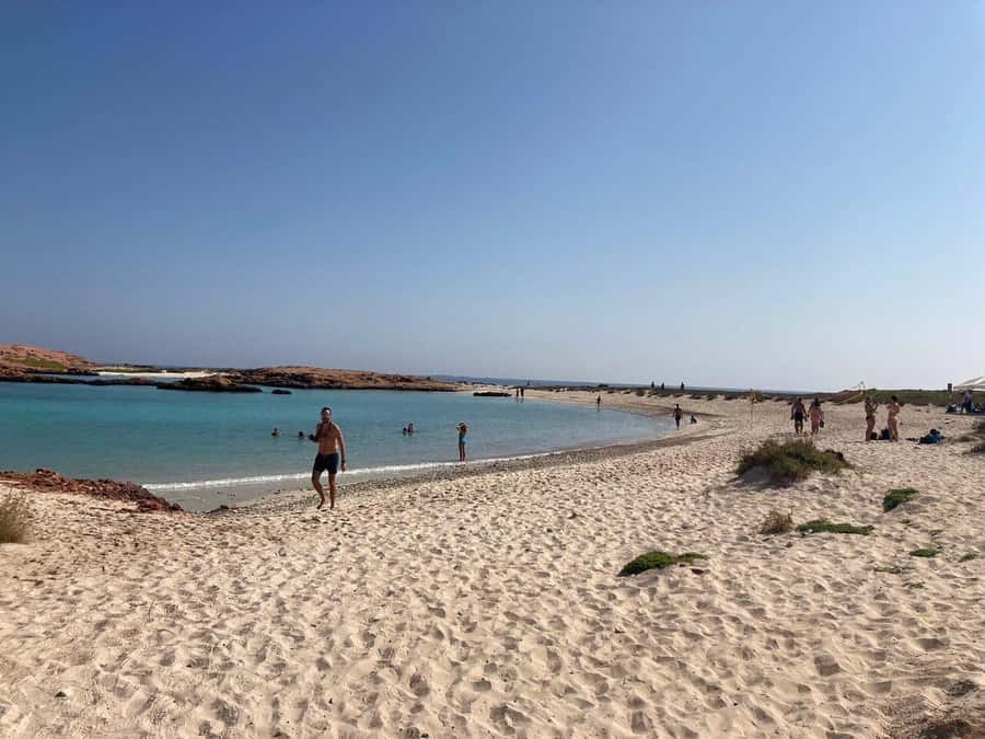 Camping to the Daymaniyat Islands with an overnight stay - Turtle nesting and responsible wildlife viewing