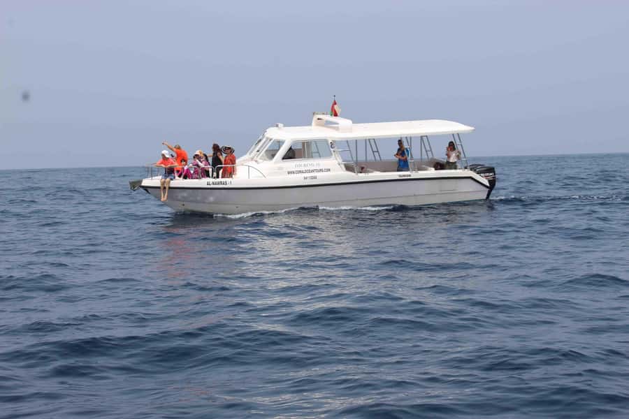 Coastal & Sunset Cruise in Muscat - Key points before you book