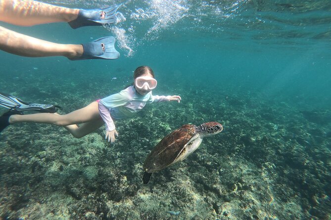 Cruises to Daymaniyat & Snorkeling - Food, drinks, and equipment included