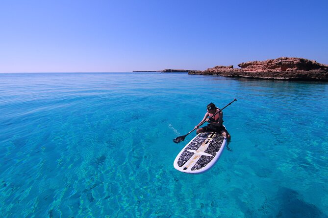 Cruises to Daymaniyat & Snorkeling - Who will enjoy this cruise most?