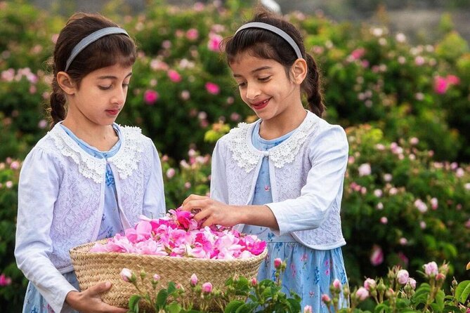 Damascus Roses - Discover the secrets of Al Jabal Al Akhdhar - Ancient fossils and a different side of the mountain