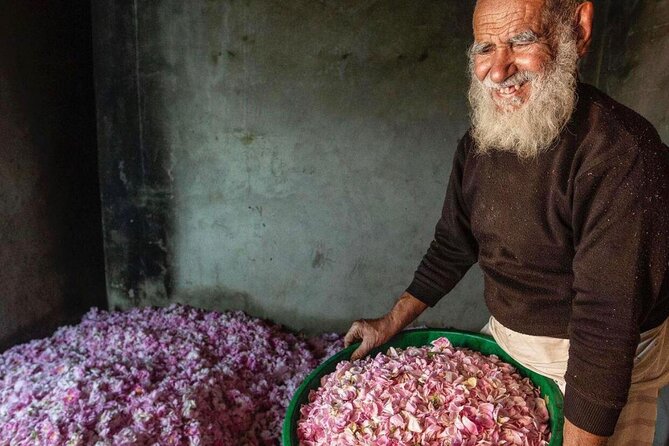 Damascus Roses - Discover the secrets of Al Jabal Al Akhdhar - Who will enjoy this four-hour outing