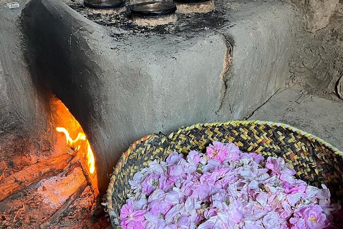 Damascus Roses - Discover the secrets of Al Jabal Al Akhdhar - Rose gardens and the local distillery