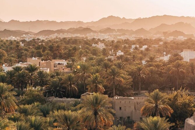 Day Tour to the Enchanting Forts of Nizwa - Jabreen Castle and its painted interiors