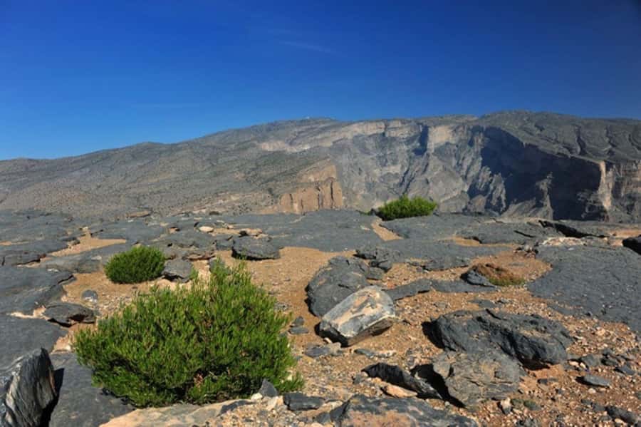Day Trip to Jabal Shams, Wadi Nakhar, Misfat Al Abriyeen - Wadi Nakhar: the rugged heart of the day