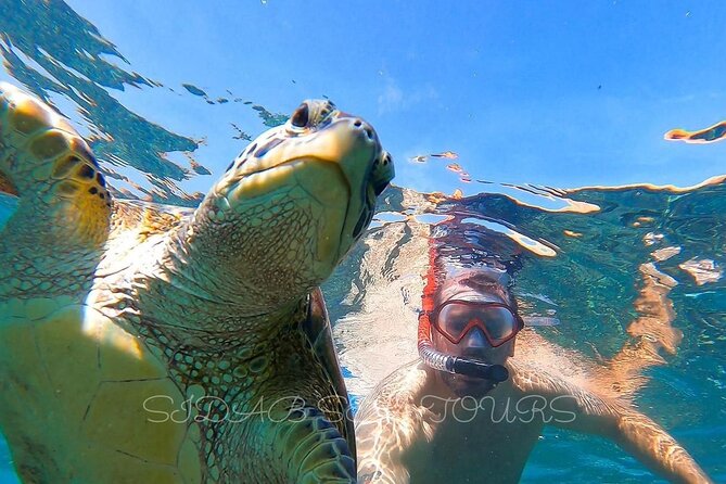 Daymaniyat island Natural Reserve and Dolphin Watching - Why Daymaniyat Islands Make a Strong Half-Day Trip