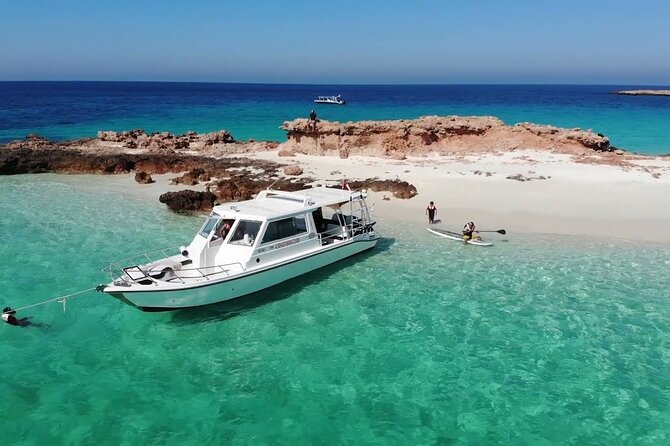 Daymaniyat island Natural Reserve and Dolphin Watching - Leaving Marina Bandar Al Rowdha at 8:30