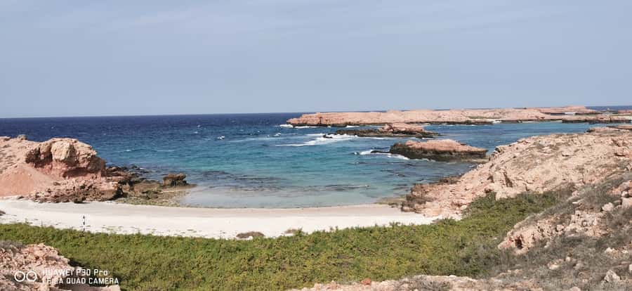 Daymaniyat Island: Snorkelling Tour with Tasty Lunch - What you might see underwater