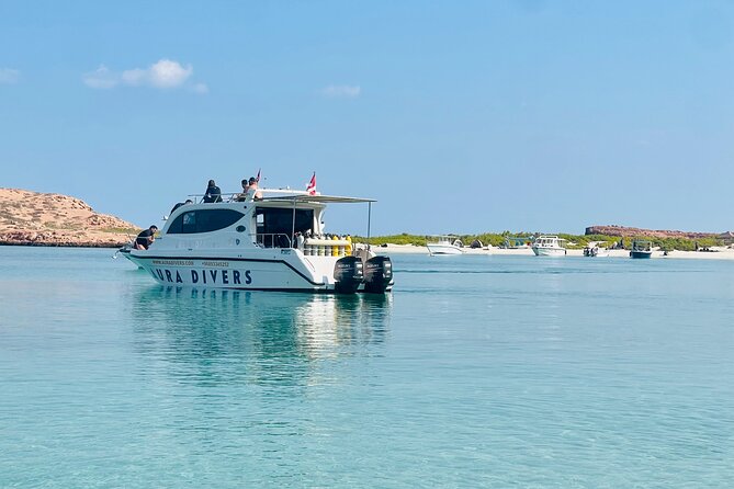 Daymaniyat Islands Snorkeling 2 different snorkeling sites and Lunch included - Key points at a glance