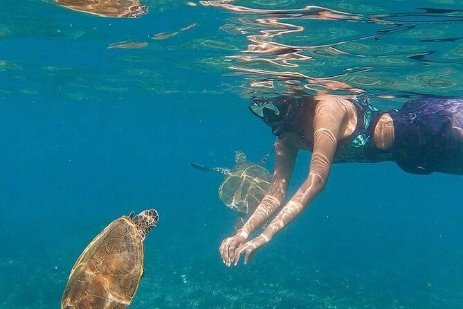 Daymaniyat Islands Snorkeling Half-Day Tour - Key points to know before you book