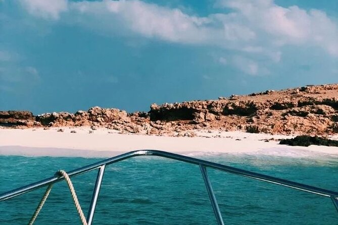 Daymaniyat Islands Snorkeling Half-Day Tour - Turtles, whale sharks, dolphins, and realistic expectations