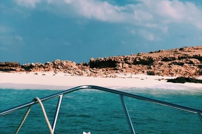 Daymaniyat Islands Snorkeling Half-Day Tour - Who will enjoy this tour most