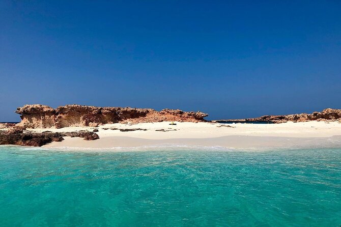 Daymaniyat Islands Snorkeling Half-Day Tour - Practical advice for a smoother outing