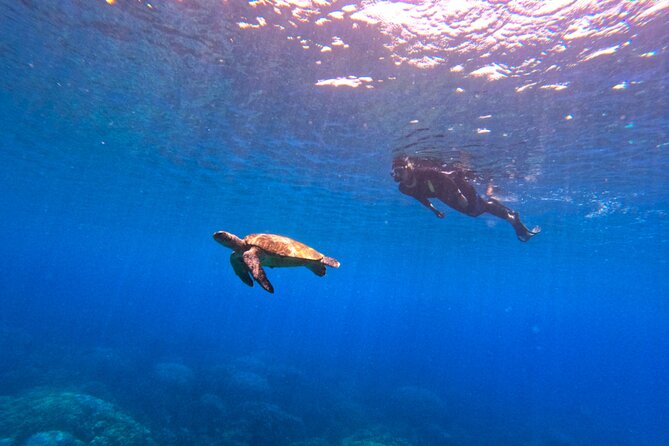 Daymaniyat Islands Snorkeling Sharing Trip - Food, drinks, and what to pack