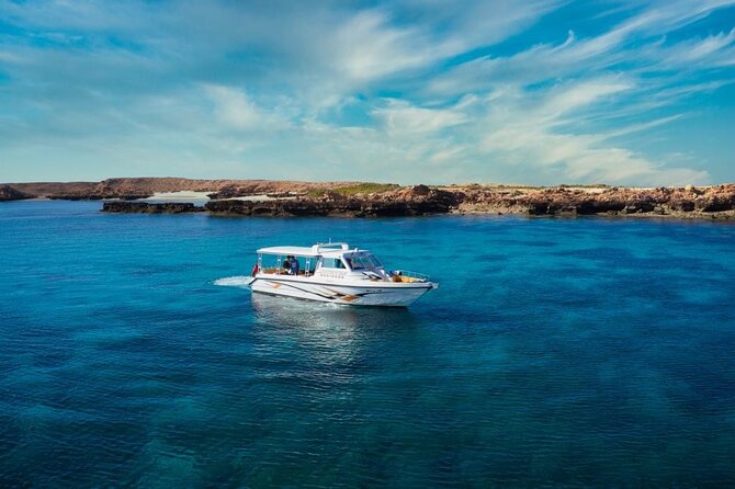 Daymaniyat Islands Snorkeling Sharing Trip - Sea conditions and the limits of the experience
